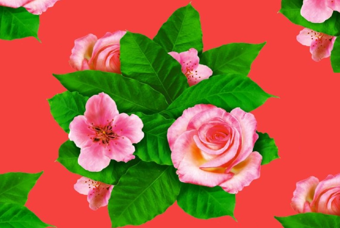 cerezo y rosa