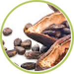 Manteca de cacao Manteca de cacao