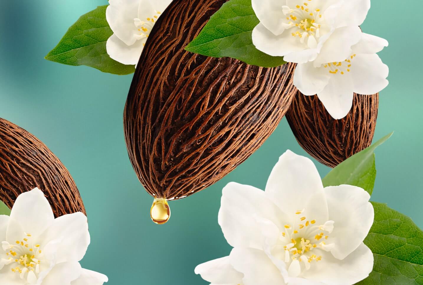 ingredientes exfoliacion Jazmín y manteca de cacao ingredientes exfoliacion Jazmín y manteca de cacao