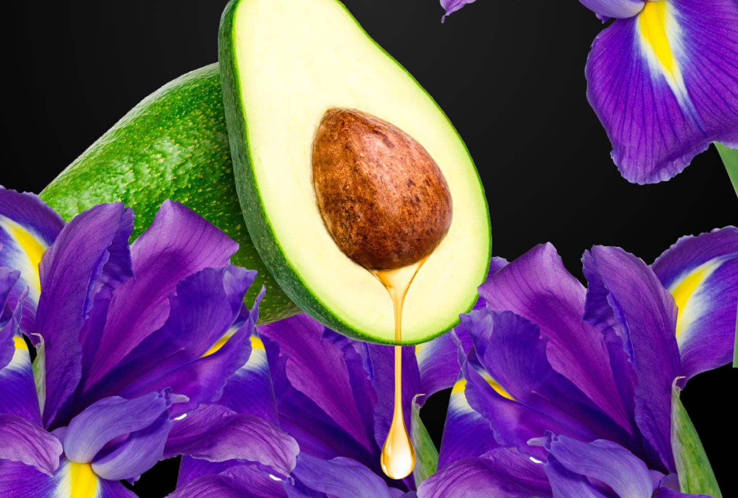 Aguacate e iris Aguacate e iris