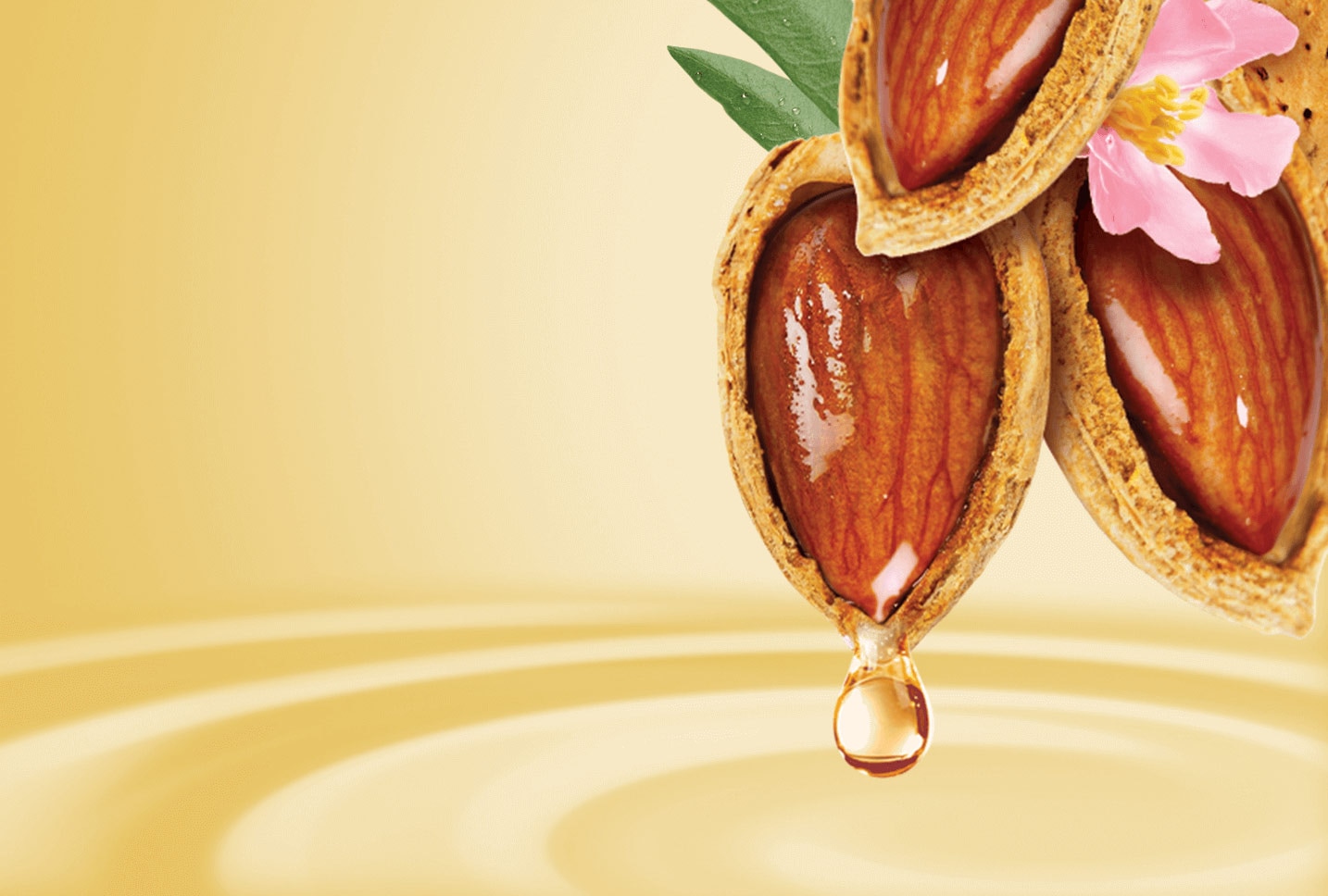oleo de almendras y lanolina oleo de almendras y lanolina