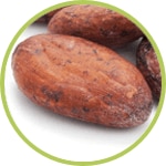 Manteca de Cacao Manteca de Cacao